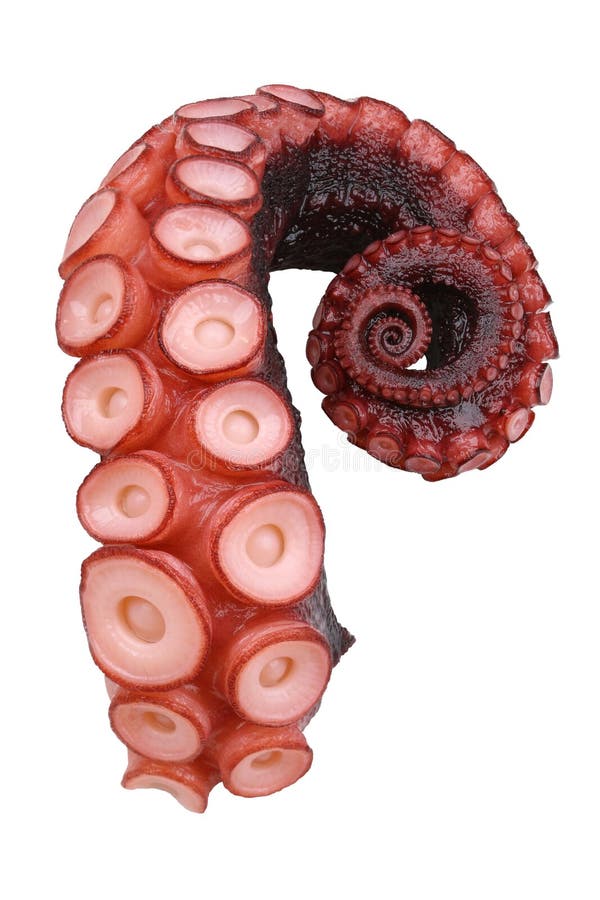 tentacle