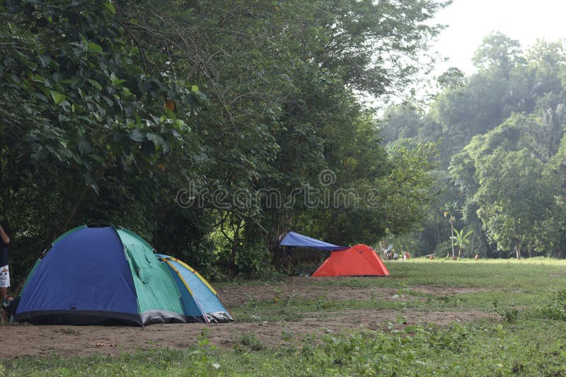 Tents in a Field with Trees in the Background Stock Image Image of
