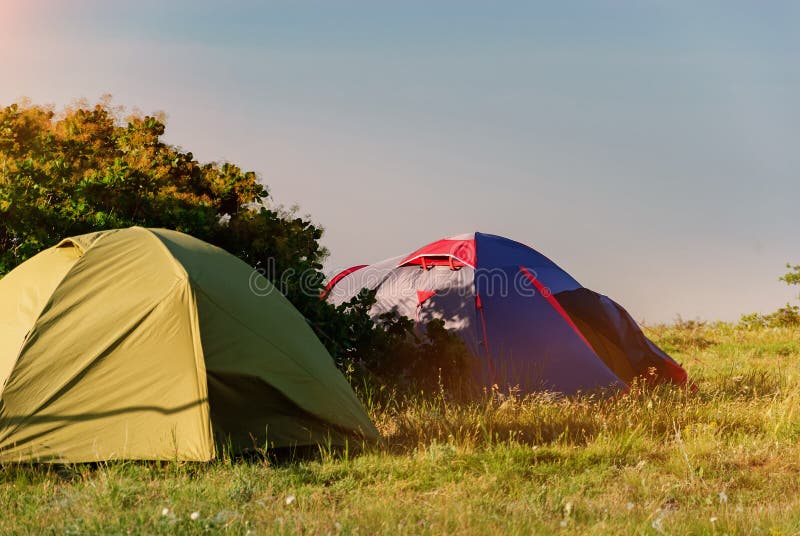 Tents on the Nature in the Camp at Sunset Stock Photo - Image of green ...