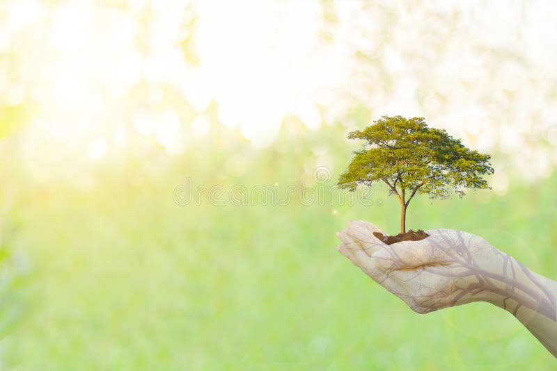 Tenuta umana delle mani di concetto di ecologia di doppia esposizione fotografia stock Tenuta umana delle mani di concetto di ecologia di doppia esposizione fotografia stock