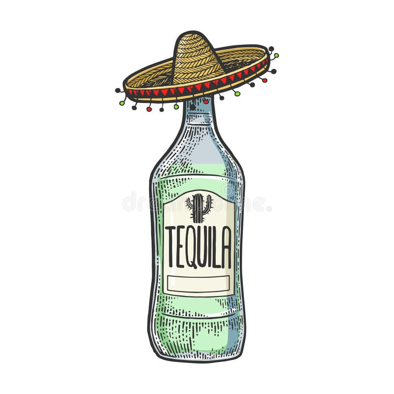 Tequila Mexicana Boceto Con Semicante Vectorial Ilustración del Vector -  Ilustración de partido, grabado: 164407437