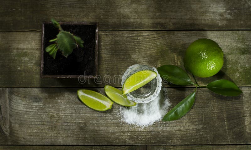 Tequila с известкой и солью стоковое изображение Tequila с известкой и солью стоковое изображение