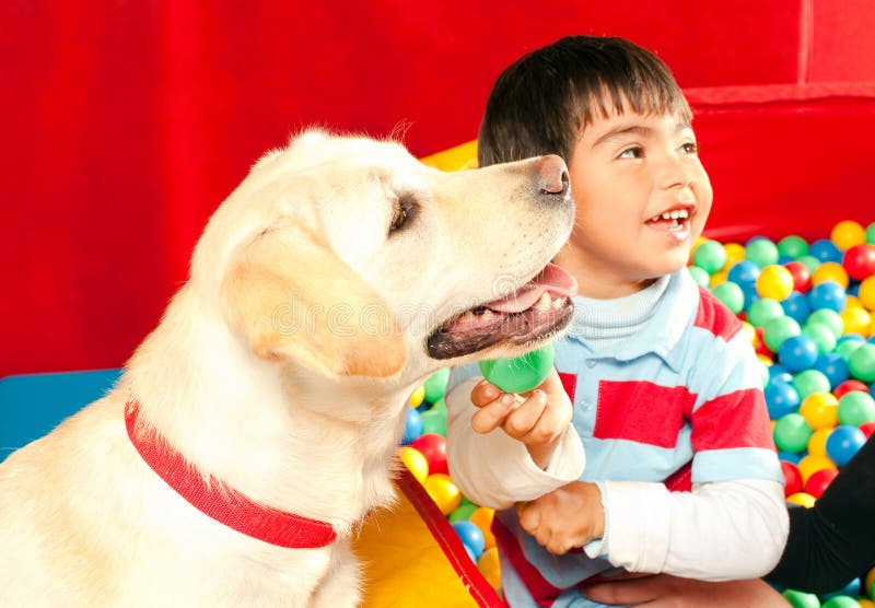 Patient been treated with the assistance of a trained dog. Patient been treated with the assistance of a trained dog