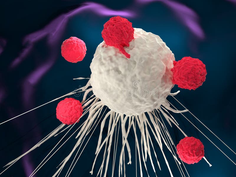 3D illustration of T cells attacking a cancer cell. 3D illustration of T cells attacking a cancer cell