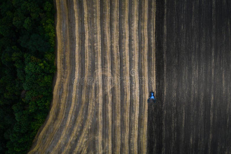 Teren de cultivare a tractorului din punct de vedere aerian cu arc. Tractorul alb aruncă câmpul pe fundul Pământului Negru, iar în spatele său păsările zboară și adună hrană. vizualizare aerare. lucrări de mașini agricole în domeniul plantației de primăvară. arat de mai sus.