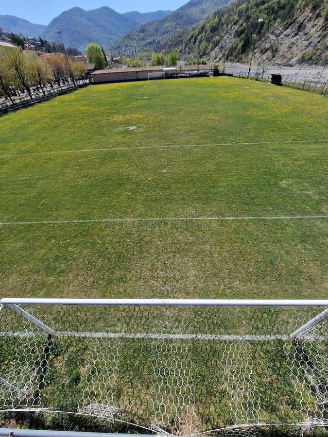 Teren de fotbal de țară cu flori stock image