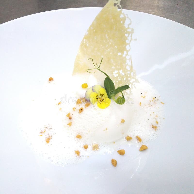 Terine excelente do queijo do prato com espuma e a batata frita parmezan imagens de stock Terine excelente do queijo do prato com espuma e a batata frita parmezan imagens de stock