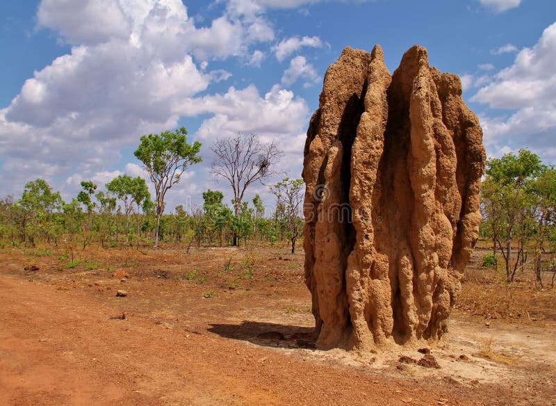 grounded termite download grounded termite download
