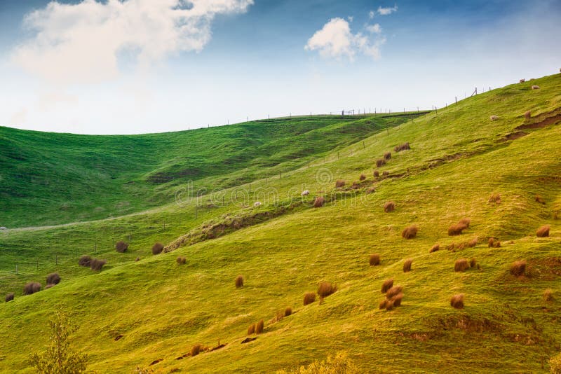 Terra em Austrália foto de stock Terra em Austrália foto de stock
