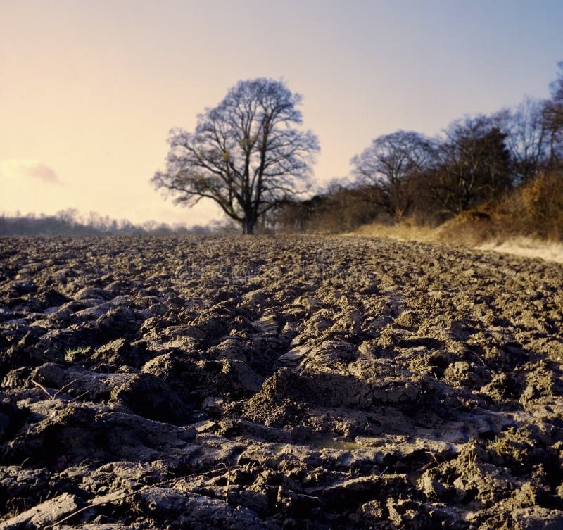 Terra no inverno imagens de stock royalty free Terra no inverno imagens de stock royalty free