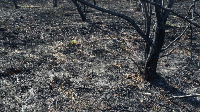 Nascente De água De Incêndio. Metano Em Combustão Na água. Fogo Frio Imagem  de Stock - Imagem de feiticeiro, subterrâneo: 214718589