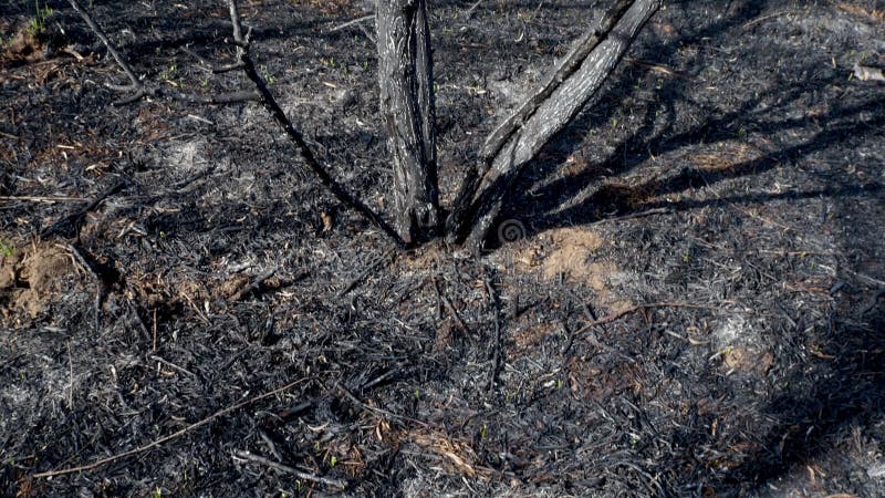 Nascente De água De Incêndio. Metano Em Combustão Na água. Fogo Frio Imagem  de Stock - Imagem de feiticeiro, subterrâneo: 214718589