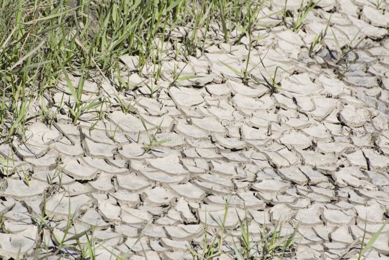 Terra seca rachada após maré alta imagem de stock