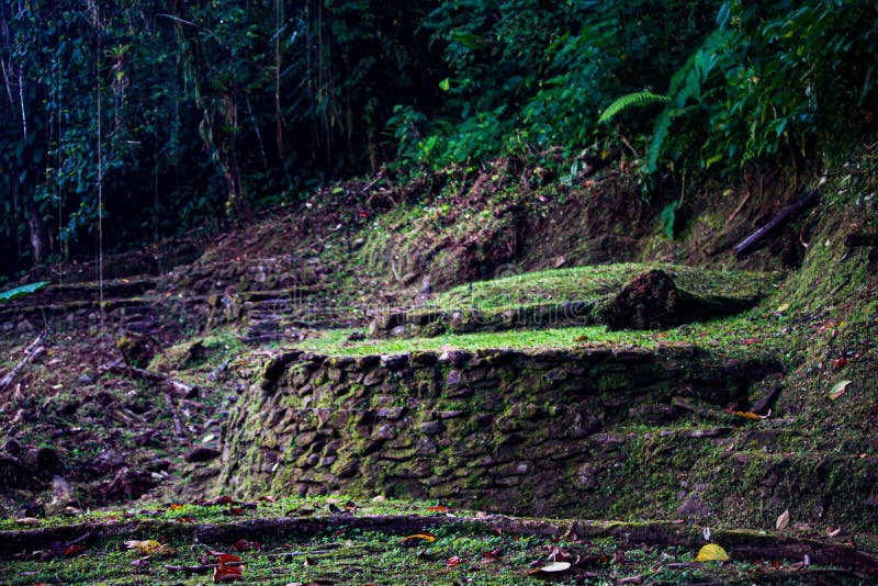 Terrace where there used to be a house in the middle of the jungle in lost city