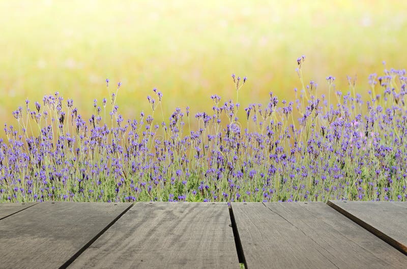 Terrace wood and Beautiful meadow for nature background