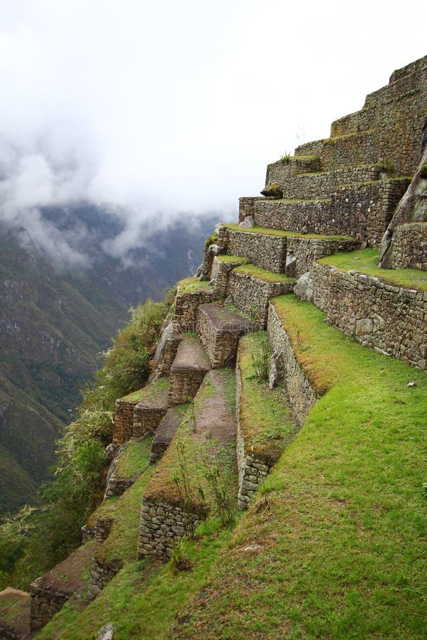 A Luz Da Madrugada Em Machu Picchu Ilustração Stock - Ilustração de calmo,  noite: 274376286