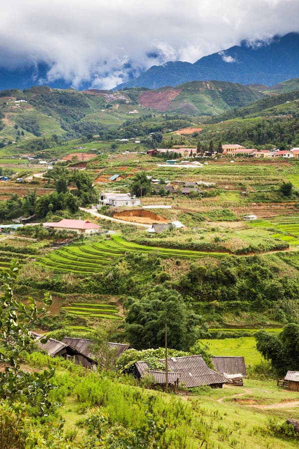 terraced green rice fields in Ma Tra village, Sa Pa, Vietnam stock photography terraced green rice fields in Ma Tra village, Sa Pa, Vietnam stock photography