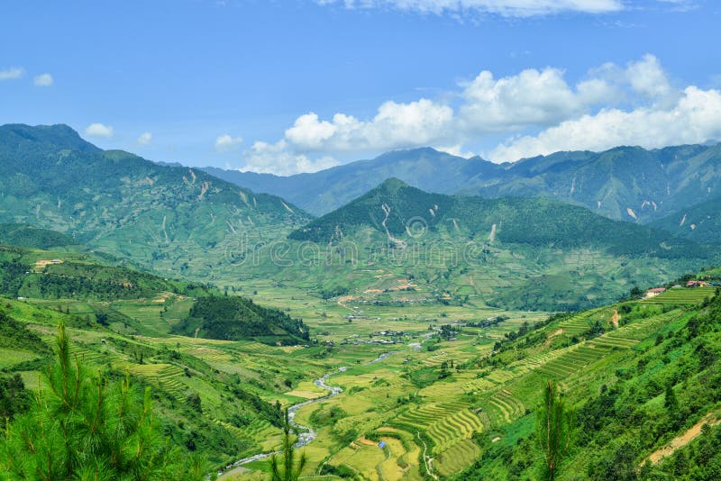 The H`Mong`s terraced rice field and their traditional houses in La Pan Tan commune, Mu Cang Chai dist., Yen Bai prov., Viet Nam. The H`Mong`s terraced rice field and their traditional houses in La Pan Tan commune, Mu Cang Chai dist., Yen Bai prov., Viet Nam