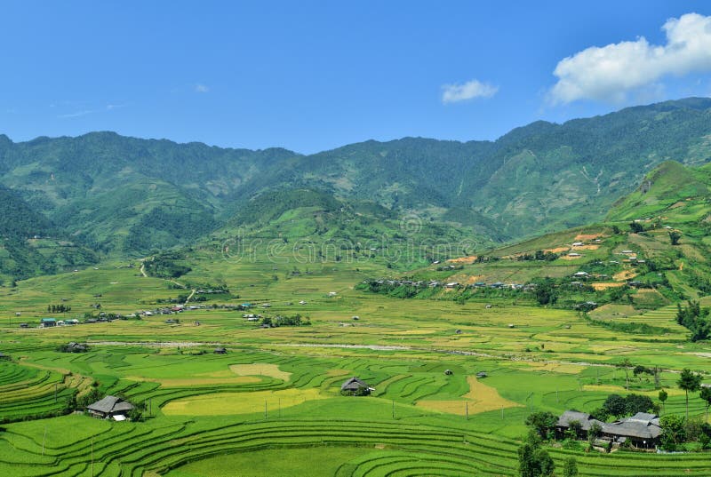 The H`Mong`s terraced rice field and their traditional houses in La Pan Tan commune, Mu Cang Chai dist., Yen Bai prov., Viet Nam. The H`Mong`s terraced rice field and their traditional houses in La Pan Tan commune, Mu Cang Chai dist., Yen Bai prov., Viet Nam