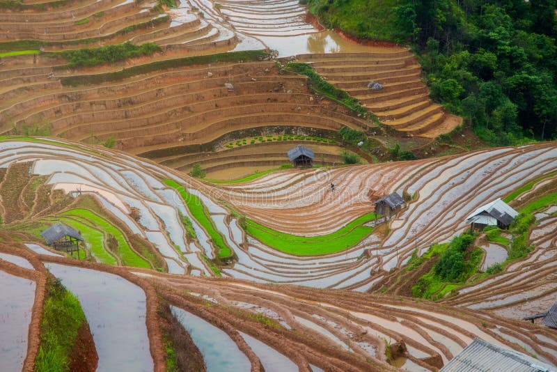 Terraced ricefield in water season in La Pan Tan at Vietnam