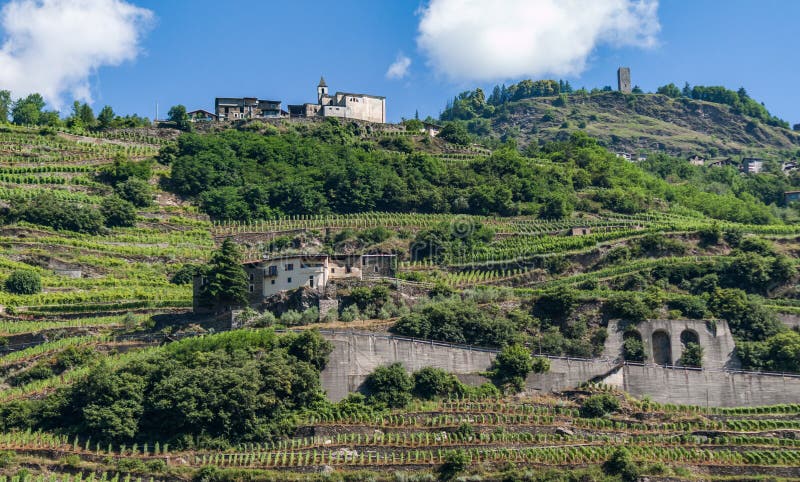 Terraced vineyards stock photos Terraced vineyards stock photos