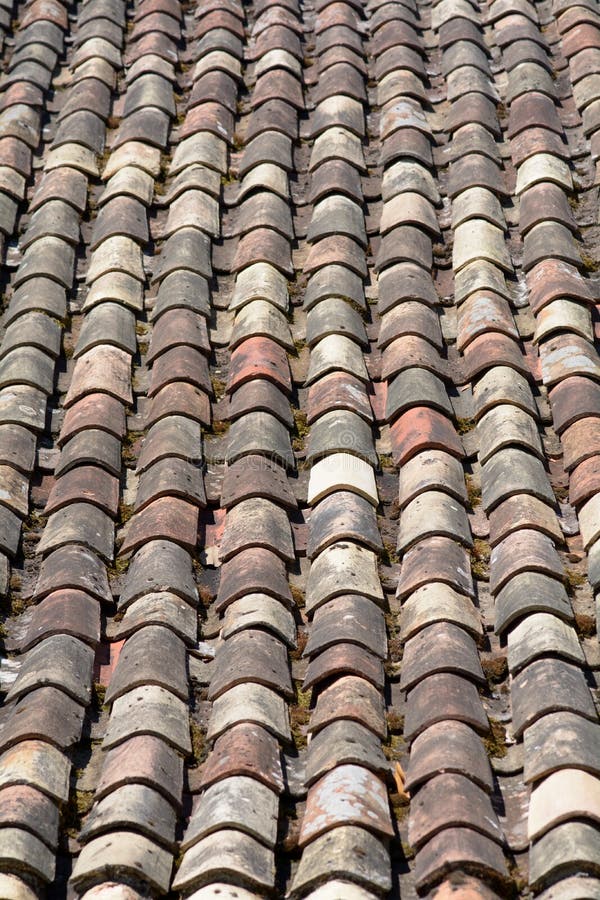 Terracotta Curved Roof Tiles Stock Photo - Image of house, shelter