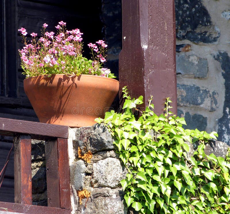 Flowers In Terracotta A Pot In Front Of The Sea Stock Photo - Image of ...