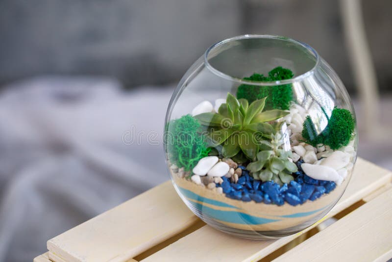 Terrarium Met Bloemen in Kantoor. Sierplanten in Een Glazen Bol. Succulent. Stock Foto Image of cactus, ruimte: 221468386