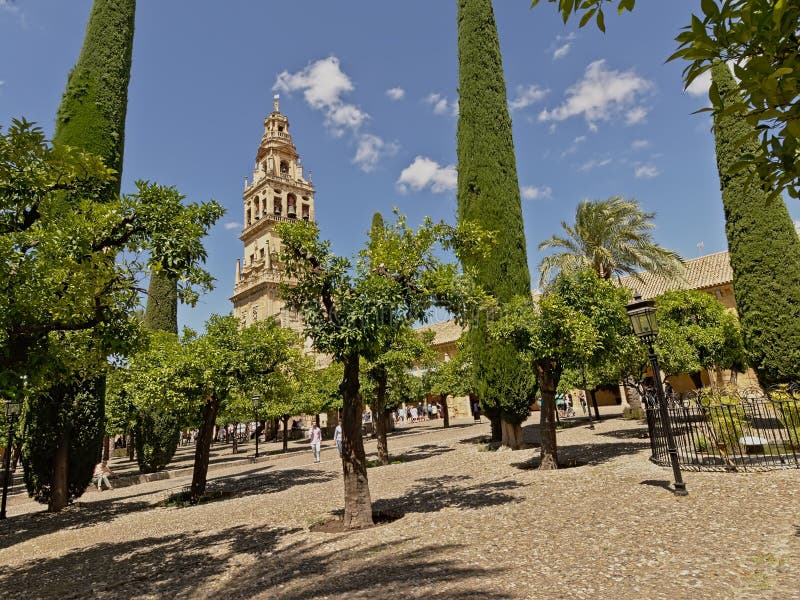 Terras met bomen en klokketoren van de moskeekathedraal van Cordoba stock afbeelding Terras met bomen en klokketoren van de moskeekathedraal van Cordoba stock afbeelding