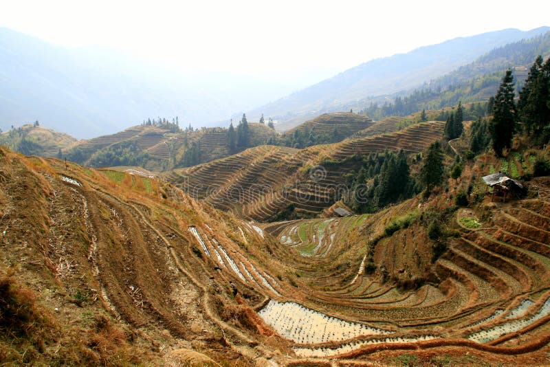 Terrasses de riz de Longsheng, Chine photo stock Terrasses de riz de Longsheng, Chine photo stock