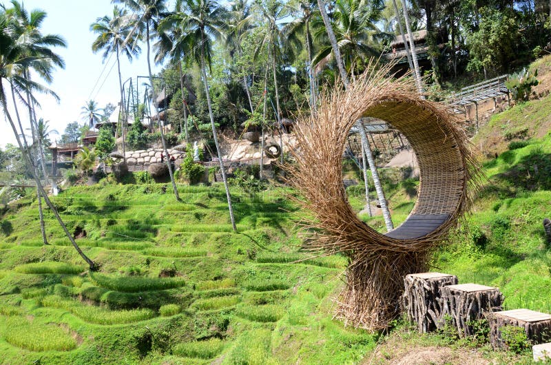 terrazze di riso Tegallalang a Ubud, Bali, Indonesia immagine stock libera da diritti terrazze di riso Tegallalang a Ubud, Bali, Indonesia immagine stock libera da diritti