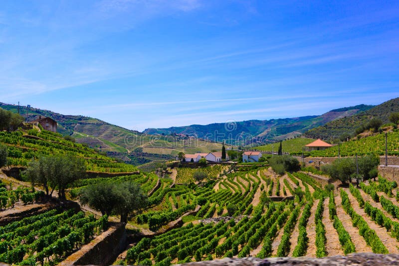 Terrazzi del Duero delle vigne, paesaggio del vino di Oporto, fabbricati agricoli