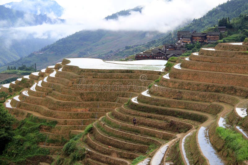 Terrazzi del riso di Longsheng; La Cina fotografia stock libera da diritti Terrazzi del riso di Longsheng; La Cina fotografia stock libera da diritti