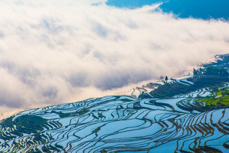 Terrazzi del riso di Yuanyang in Cina fotografie stock Terrazzi del riso di Yuanyang in Cina fotografie stock