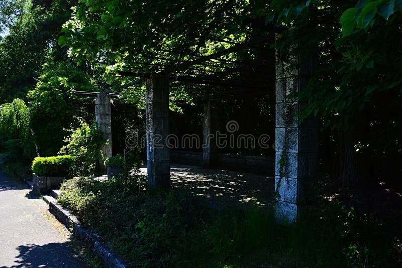 Terraço aumentado com colunas de pedra e o telhado de madeira para plantas de escalada no pavilhão japonês do arboreto Mlynany, E fotografia de stock Terraço aumentado com colunas de pedra e o telhado de madeira para plantas de escalada no pavilhão japonês do arboreto Mlynany, E fotografia de stock