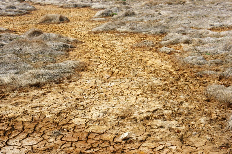 Terre de sécheresse, changement climatique, été chaud photographie stock Terre de sécheresse, changement climatique, été chaud photographie stock