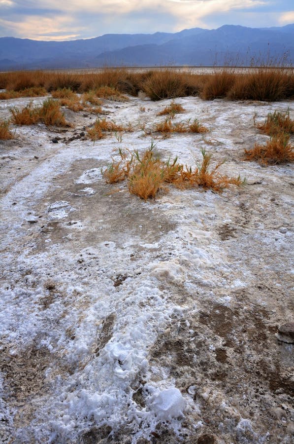 Distesa Salina immagini stock