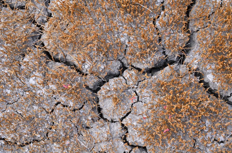 Terreno incrinato fotografia stock libera da diritti