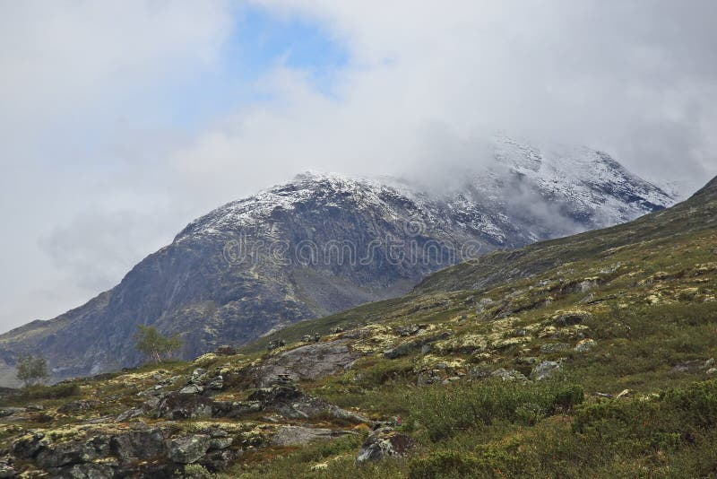 Terreno montañoso en Noruega Parque nacional de Jotunheimen imágenes de archivo libres de regalías Terreno montañoso en Noruega Parque nacional de Jotunheimen imágenes de archivo libres de regalías