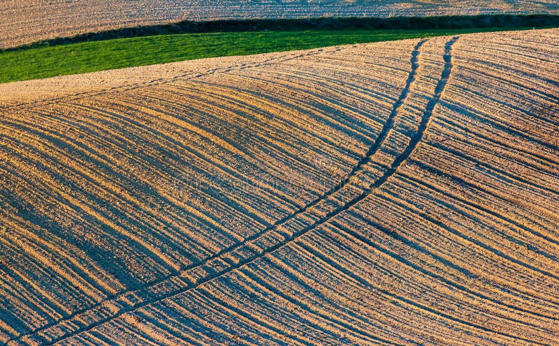 Terres agricoles printanières dans les collines du centre de roztocze en pologne. Champs tracés. champs intersectés par de nombreuses frontières. soleil brillant bas éclairant les champs bordent les arbres et les buissons. roztocze. pologne orientale