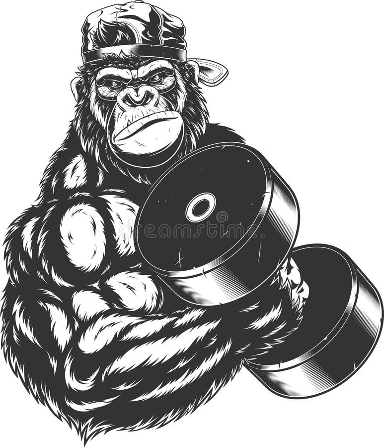 https://thumbs.dreamstime.com/b/terrible-gorilla-athlete-vector-illustration-ferocious-bodybuilder-performs-exercise-large-dumbbell-118406499.jpg