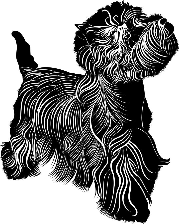 Terrier bianco di altopiano ad ovest illustrazione di stock Terrier bianco di altopiano ad ovest illustrazione di stock