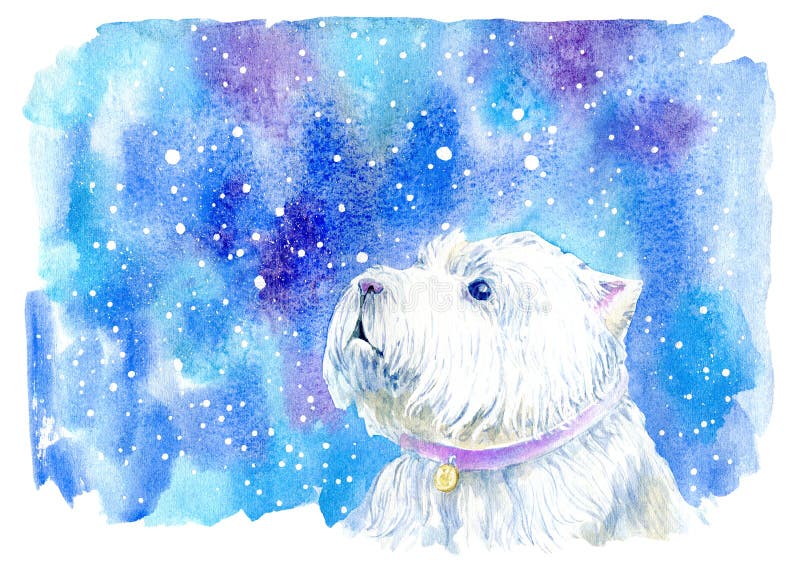 Terrier bianco e fiocchi di neve di altopiano ad ovest Cartolina d'auguri di un cane illustrazione di stock Terrier bianco e fiocchi di neve di altopiano ad ovest Cartolina d'auguri di un cane illustrazione di stock