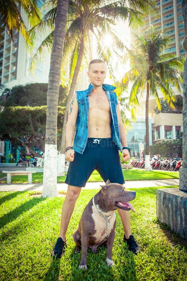 Terrier de pitbull americano del hombre y del perro que se relaja en el parque en la puesta del sol imagen de archivo Terrier de pitbull americano del hombre y del perro que se relaja en el parque en la puesta del sol imagen de archivo