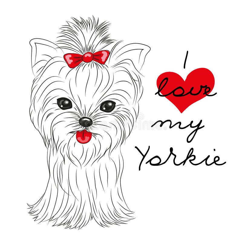 Terrier di Yorkshire sveglio royalty illustrazione gratis Terrier di Yorkshire sveglio royalty illustrazione gratis