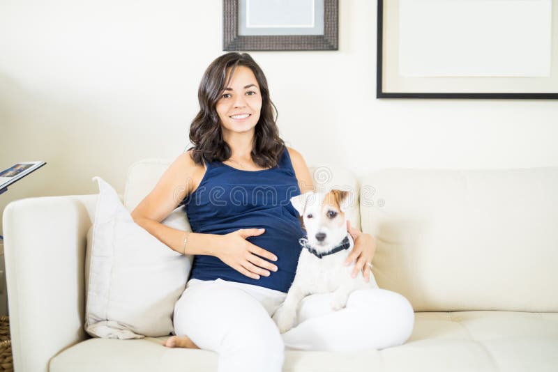Terrier Taking Care Of Expectant Woman Resting On Sofa stock photography Terrier Taking Care Of Expectant Woman Resting On Sofa stock photography