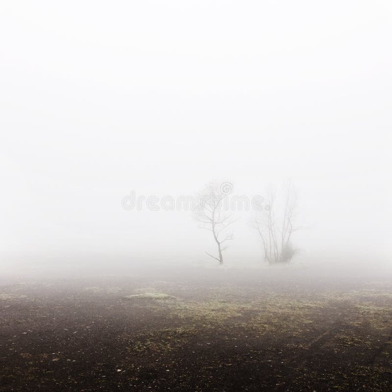 Terril-Landschaft stockfotografie Terril-Landschaft stockfotografie