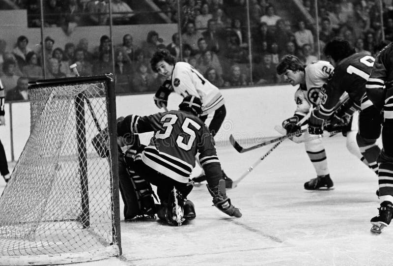 Terry O'Reilly Photo Fight In Stands 11x14 - New England Picture