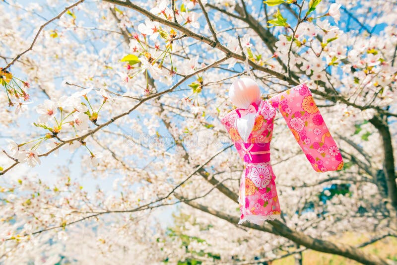 Teru Teru Bozu. Japanese Rain Doll hanging on Sakura tree