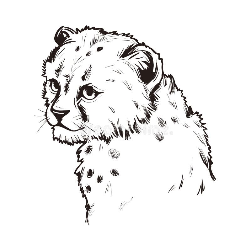 Tessuto di felino per gatta, vettoriale di progettazione monocromatica isolato, illustrazione disegnata a mano Ritratto di piccol royalty illustrazione gratis
